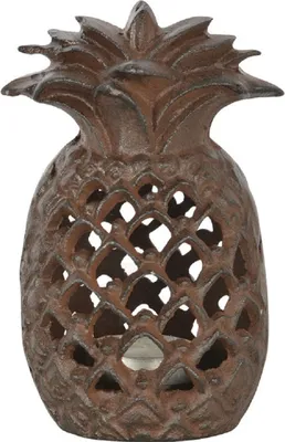 Produktbild von Esschert Design Ananas Laterne; TT200