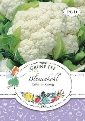 Produktbild von Grüne Fee - Blumenkohl Erfurt Samen - 11165