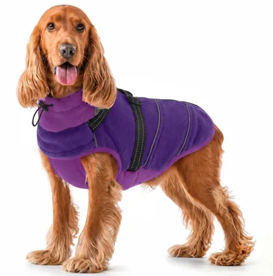 Hundepullover für große Hunde, Fleece, Winter, Lila, 2XL