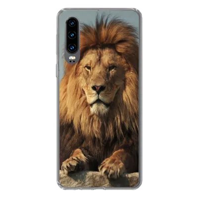Produktbild von MuchoWow® Handyhülle Schutzhülle Hülle für Huawei P30 Löwe - Felsen - Porträt Silikon Softcase Handy Hülle - Kartenbesitzer