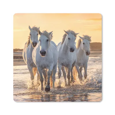 Produktbild von MuchoWow® Mauspad Mousepad Pferde - Wasser - Strand - Tiere 20x20 cm - Mousepads - Maus Mat - Pad - Mausunterlage - Desk Mat - Bureauartikeln