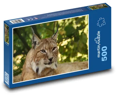 Zdjęcie produktu dla Puzzle 500 Ryś w lesie - martinpuzzle
