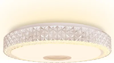 Produktbild von JOIEYOU 48W LED Deckenleuchte Dimmbar mit Bluetooth Lautsprecher Deckenlampe Flurlampe Badlampe Decke Fernbedienung oder APP-Steuerung RGB IP44 Wasserfest für Schlafzimmer Küche Wohnzimmer