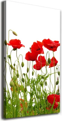 Imagen del producto de Tulup Lienzo® - 70x140 cm - Obra de arte para pared - Impresiones sobre lienzo - Impresión en lienzo - Decoración de pared para salón de gran tamaño - Decoración para el hogar, impresiones artísticas - Flores y plantas - Rojo - Amapolas