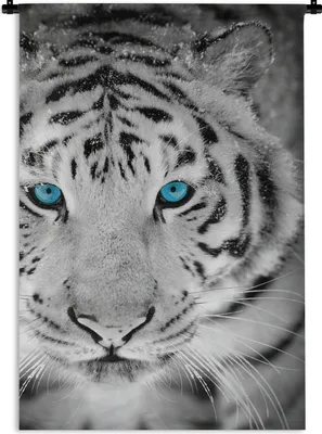 Produktbild von MuchoWow® Wandteppich Wandbehang Tiger - Kopf - Augen 120x180 cm Tapisserie Dekoration Wandtuch - Schlafzimmer - Dekorationen für das Haus