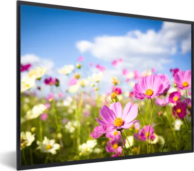 Produktbild von MuchoWow® Gerahmtes Poster Blumen - Wiese - Lila - Gras - Weiß - Wolken - Blau 80x60 cm - Poster mit Schwarzem Bilderrahmen Wandposter Rahmen Foto Bilder - Schwarzem - Mit Gestell