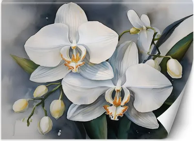 Produktbild von Vlies fototapete Orchideenblume Abstrakt 350x245 cm Feeby Weiß inkl. Kleber einfache Montage