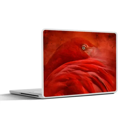 Produktbild von MuchoWow® Laptop Aufkleber Sticker Cover Tropisch - Vogel - Rot - Tiere 30x22 cm - Laptop-Sticker