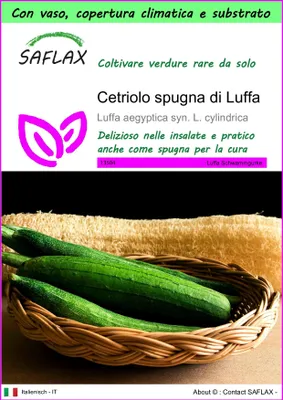Immagine prodotto di SAFLAX Garden to go - Cetriolo spugna di Luffa - 10 semi - Luffa