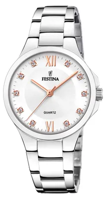 Obrázek produktu pro Stříbrné hodinky Festina F20582-1