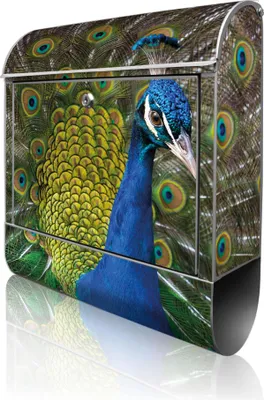Produktbild von banjado Design Briefkasten Stahl silber mit Zeitungsfach pulverbeschichtet "Pfau" 38x46x12,5cm & 2 Schlüssel - Postkasten A4 Einwurf inkl. Montagematerial [BK 10500]
