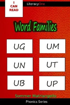 Produktbild von Word Families