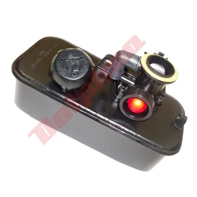 Image de Réservoir D'essence Pour Briggs&Stratton + Carburateur ( 494406 , 495770 )