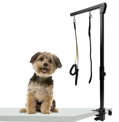 Image de Bras de toilettage réglable pour animaux de compagnie avec pince
