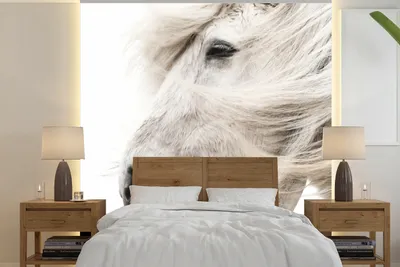 Produktbild von MuchoWow® Fototapete für Wohnzimmer oder Schlafzimmer Wandtapete Vinyl Motivtapete Pferd - Grau - Weiß - 220x220 cm - Tapeten