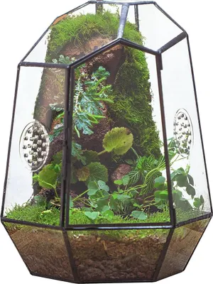 Produktbild von Geometrisches Glasterrarium mit Belüftung - Schwarzer Pflanzkasten für drinnen