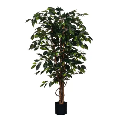 Produktbild von Ficus Benjamina Grün 150cm, exklusive Blumentopf - Grün