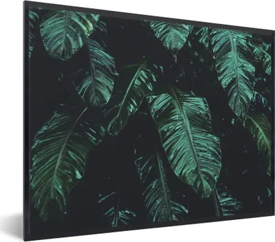 Produktbild von MuchoWow® Gerahmtes Poster Dschungel - Palme - Blätter - Tropisch 80x60 cm - Poster mit Schwarzem Bilderrahmen Wandposter Rahmen Foto Bilder - Schwarzem - Mit Gestell