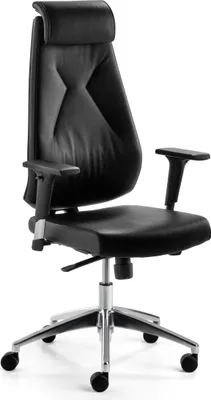 Produktbild von Mayer Sitzmöbel Drehsessel Echtleder schwarz 2462