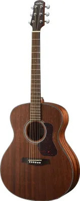 Produktbild von WALDEN G570CE Natura Grand Auditorium