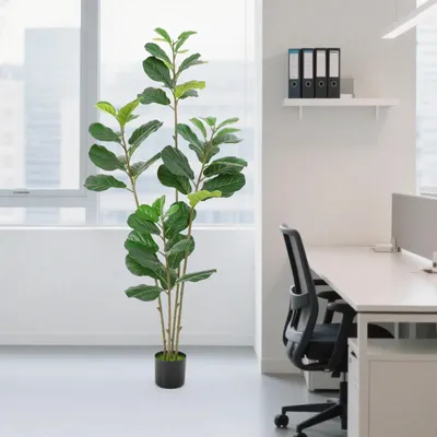 Obrázek produktu pro 180 cm vysoká dekorativní rostlina Monstera s odnímatelným zeleným listem