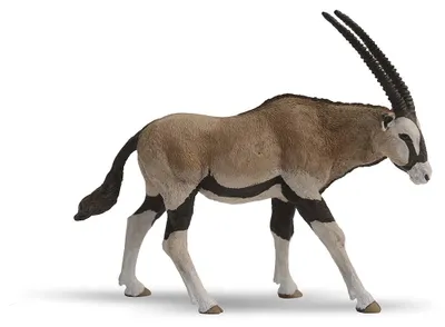 Produktbild von Papo Spießbock, 3 Jahr(e), Wild animal kingdom, Braun, Weiß, PVC