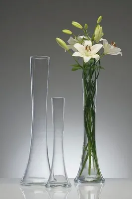 Obrázek produktu pro Skleněná váza, váza na květiny SOLIFLEUR V. 18cm D. 3cm + 5cm transparentní Sandra Rich
