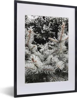 Produktbild von MuchoWow® Gerahmtes Poster Winter - Baum - Äste 30x40 cm - Poster mit Schwarzem Bilderrahmen Wandposter Rahmen Foto Bilder - Wandposter Schlafzimmer
