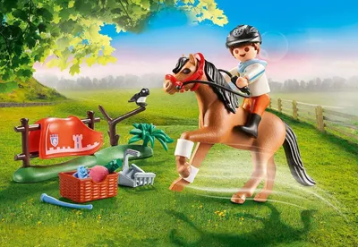 Obrázek produktu pro 70516 Země Sammelpony "Connemara"