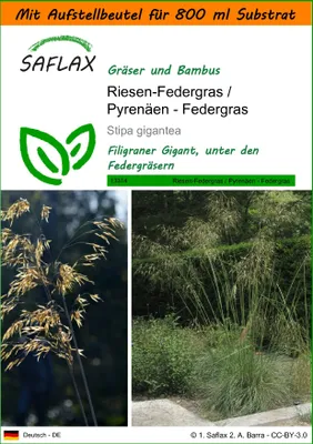 Produktbild von SAFLAX - Garden in the Bag - Gräser-Bambus-Riesen-Federgras / Pyrenäen - Federgras - 10 Samen - Mit Anzuchtsubstrat im praktischen, selbst aufstellenden Beutel - Stipa gigantea