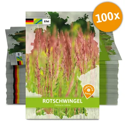 Artikelbild 1 von 'Rotschwingel (Regionale Sorte Eifel) (100 Tütchen)'