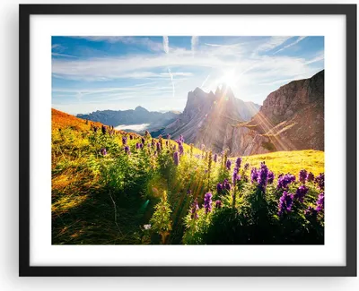 Produktbild von Gerahmtes Poster - Schwarzer Rahmen - Berge Wiese Blumen - 50x40 cm - Wand Bild - Wanddeko - Wandbilder - Kunstposter - Wandposter - Bilderrahmen - Bilder - Kunstdruck - Wandbild - P2BAA50x40-4008