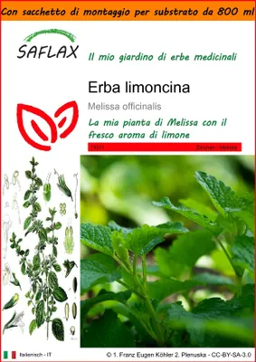 Immagine prodotto di SAFLAX Garden in the bag - Erba limoncina - 150 semi - Melissa