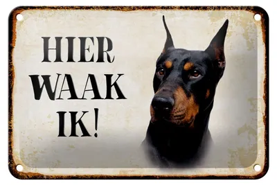 Produktbild von Blechschild Spruch 18x12cm holländisch Hier Waak ik Dobermann Dekoration