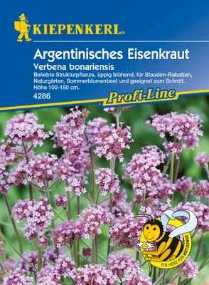 Produktbild von KIEPENKERL Verbena bonariensis