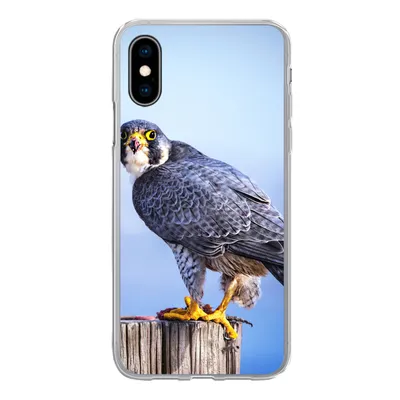 Produktbild von MuchoWow® Handyhülle Schutzhülle Hülle für iPhone X Nahaufnahme eines Raubvogels auf einer dicken Holzstange Silikon Softcase Handy Hülle - Handyhülle
