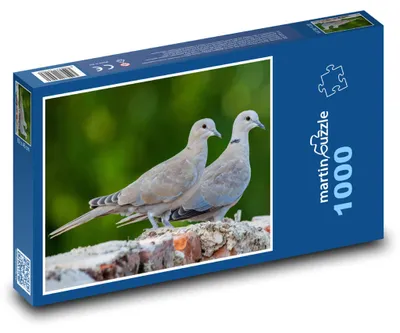 Obrázek produktu pro Puzzle 1000 Holubice na větvi - martinpuzzle