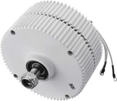 Produktbild von Famanu Windgenerator Energie Turbine 40W 24V ohne Getriebe, Permanente Magnete