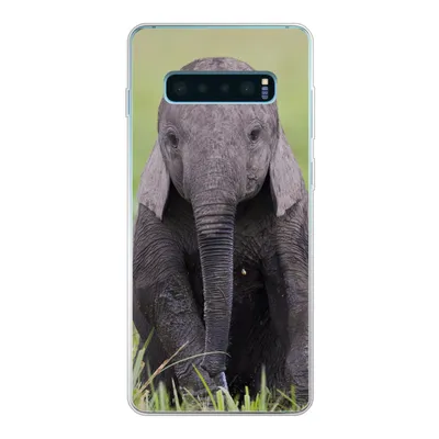 Produktbild von MuchoWow® Handyhülle Schutzhülle Hülle für Samsung Galaxy S10 Plus Elefant - Baby - Tiere - Gras - Natur Silikon Softcase Handy Hülle - Schutzhülle
