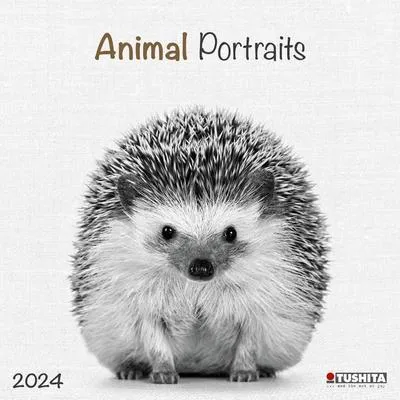 Produktbild von Animals 2024: Kalender 2024 (Wonderful World)