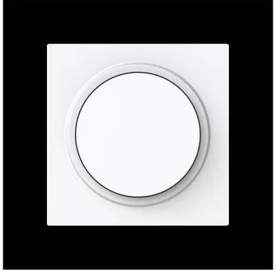 Produktbild von BJ Zentralscheibe 6540-44G-102 Drehdimmer m.Drehknopf weiß