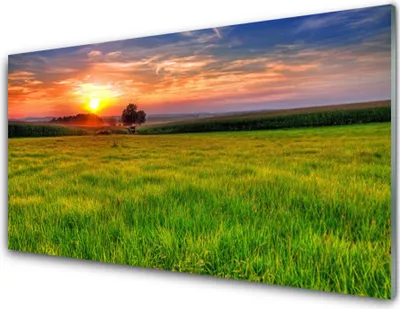 Produktbild von Acrylglasbilder 100x50 Wandbild Druck Wiese Sonne Natur