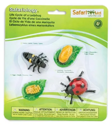 Produktbild von Safari Ltd Figur Zum Lebenszyklus Eines Marienkäfers Mehrfarbig From 3 Years Kinder Mehrfarbig From 3 Years