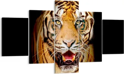 Produktbild von Bild auf Leinwand - Leinwandbild - tiger tier - 125x70cm - Wand Bild - Wanddeko - Wandbilder - Leinwanddruck - Bilder - Kunstdruck - Wanddekoration - Leinwand bilder - Wandkunst - EA125x70-4103
