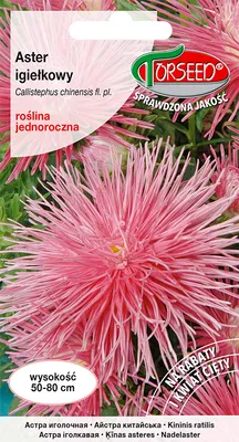 Produktbild von Samen von Aster tall needle red salmon - Torseed