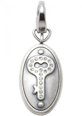 Produktbild von Fossil Charm Edestahl Silber Karabiner JF87598040