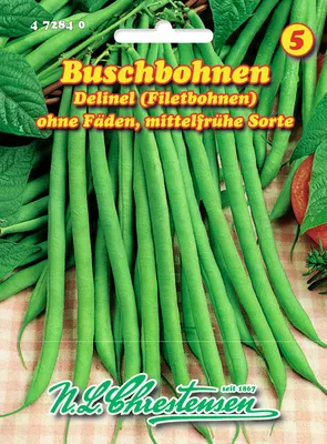 Produktbild von Filetbohne Delinel | Bohnensamen von N.L. Chrestensen