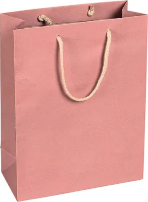 Image de Sacs en papier, couleur rose, dimensions 22 x 29 x 10 cm, avec cordon en coton - lot de 12