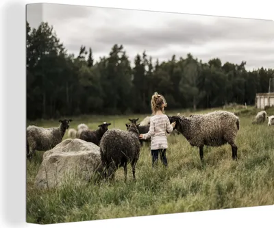 Produktbild von OneMillionCanvasses® - Leinwandbilder - 140x90 cm, Mädchen - Schaf - Gras, Wandbilder Kunstdruck Wanddekoration