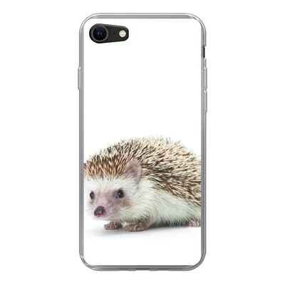 Produktbild von MuchoWow® Handyhülle Schutzhülle Hülle für iPhone 8 Igel - Tiere - Weiß Silikon Softcase Handy Hülle - Schutzhaube